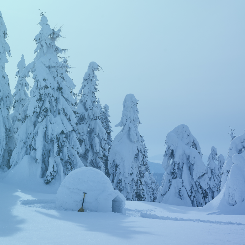Haliburton Forest: Igloo Building